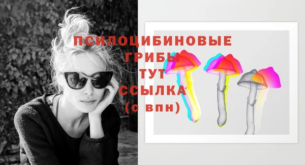дмт Бугульма
