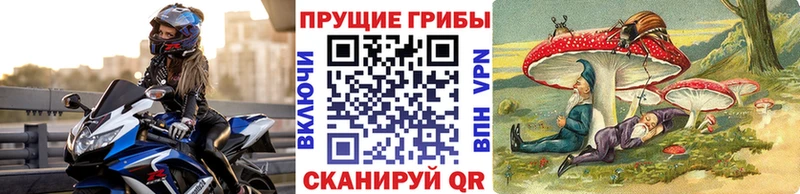 Купить  Оленегорск  Псилоцибиновые грибы GOLDEN TEACHER 